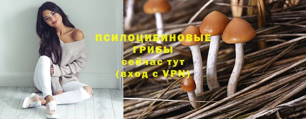 винт Алзамай