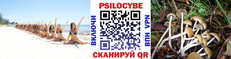Галлюциногенные грибы мицелий  как найти закладки  Краснознаменск 